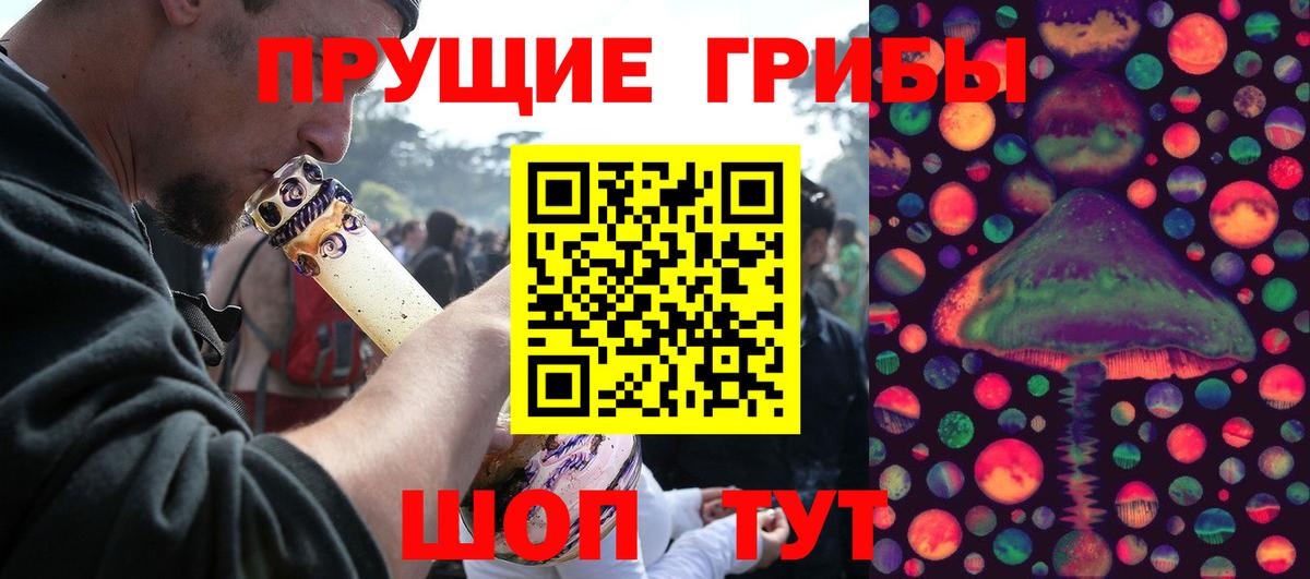 где купить наркотик  Псилоцибиновые грибы Psilocybe  Вход с VPN  Черемхово 